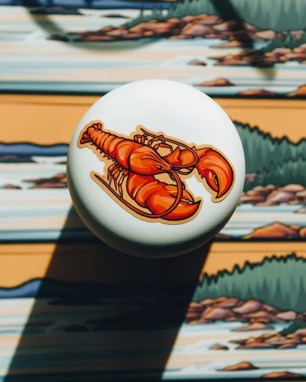 ACADIA Infinity Sticker Supply - Image 5